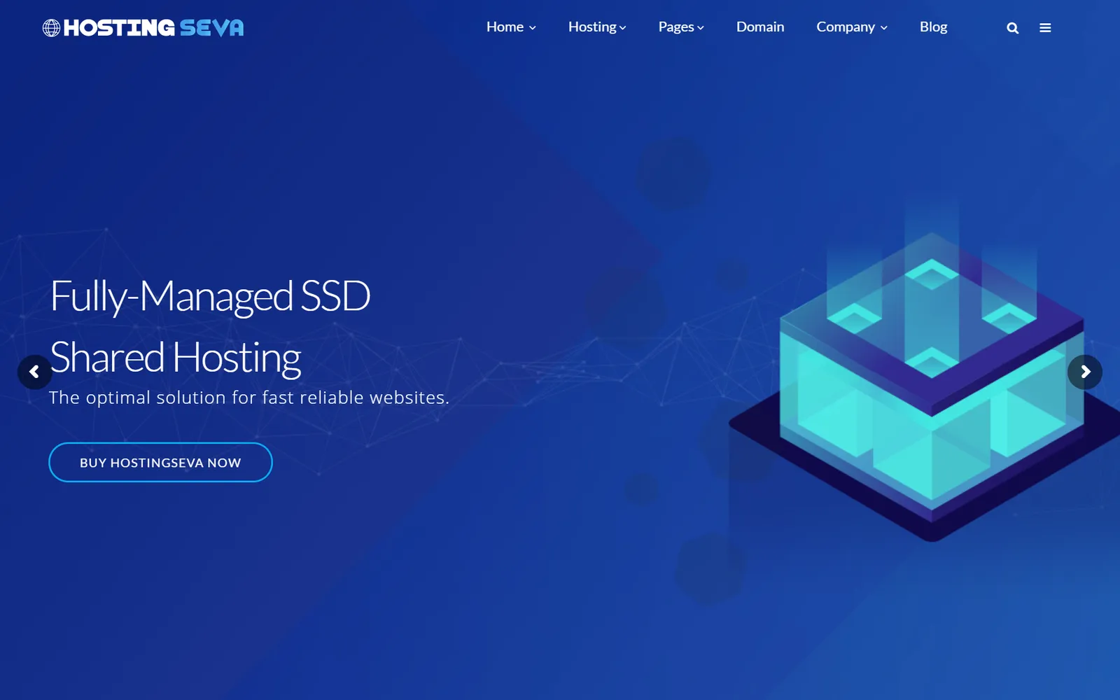 Hosting Seva's 2019 homepage, a navy hero with a glowing server illustration and a managed hosting headline